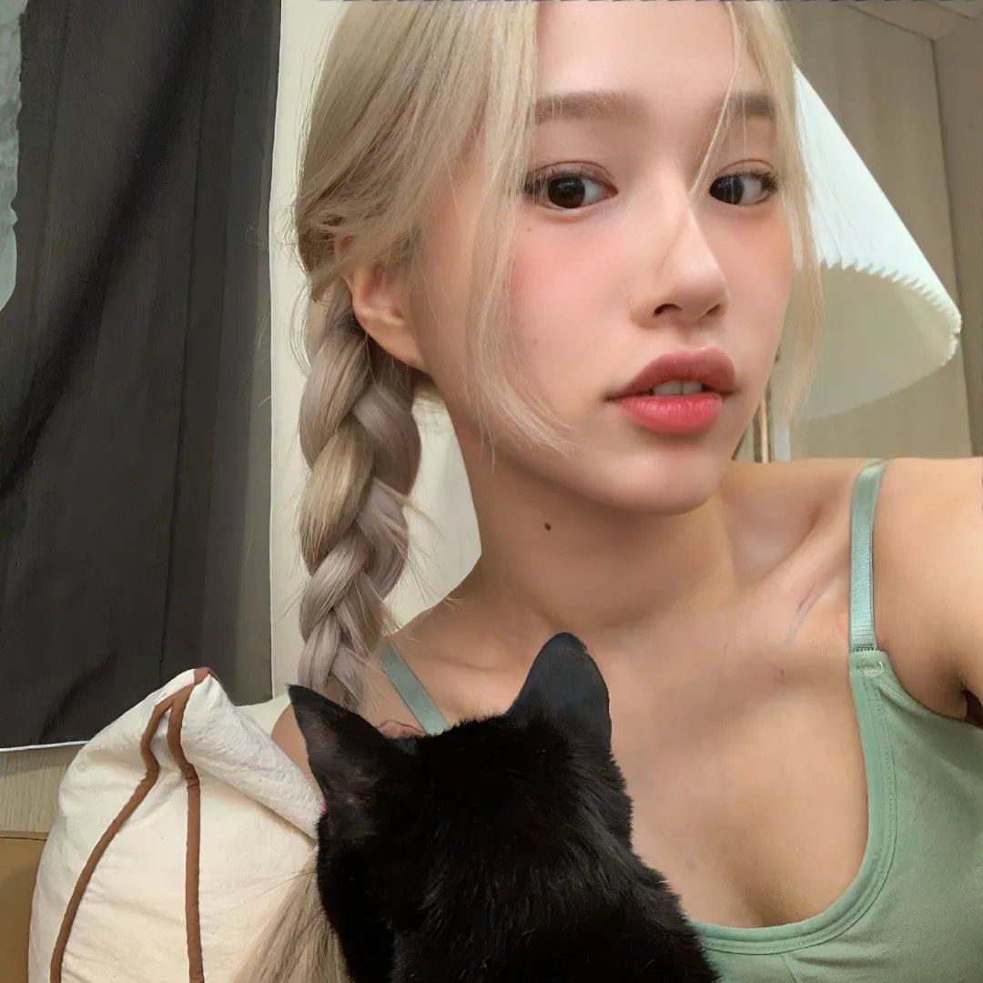 科搜研之女2022